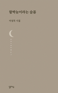 함박눈이라는 슬픔 (달아실시선 12)